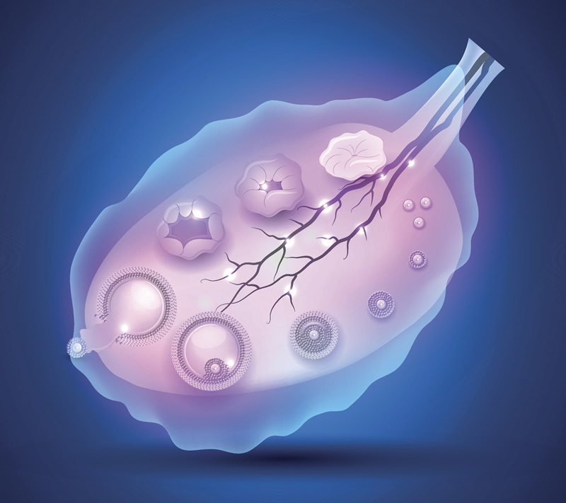 徐州鼓楼区试管婴儿哪家比较好呢？